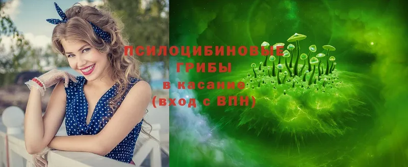 Псилоцибиновые грибы Psilocybine cubensis  mega маркетплейс  Прокопьевск  купить  сайты 